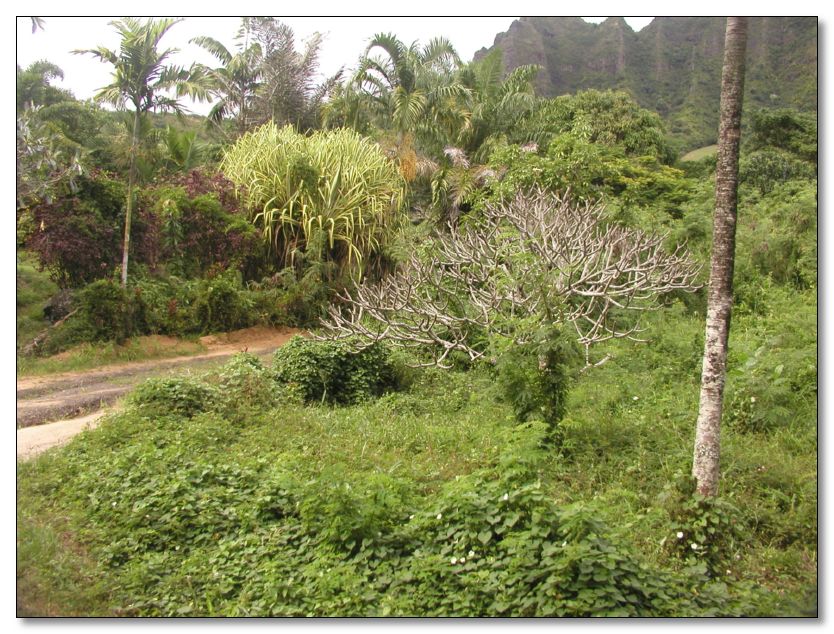 P1010035